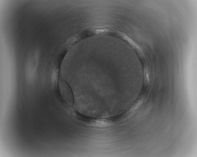 X0000101090475200807241011