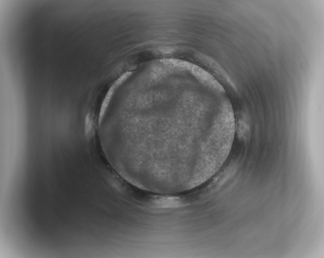 X0000101090476200807241011
