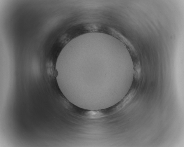 X0000101090477200807241011