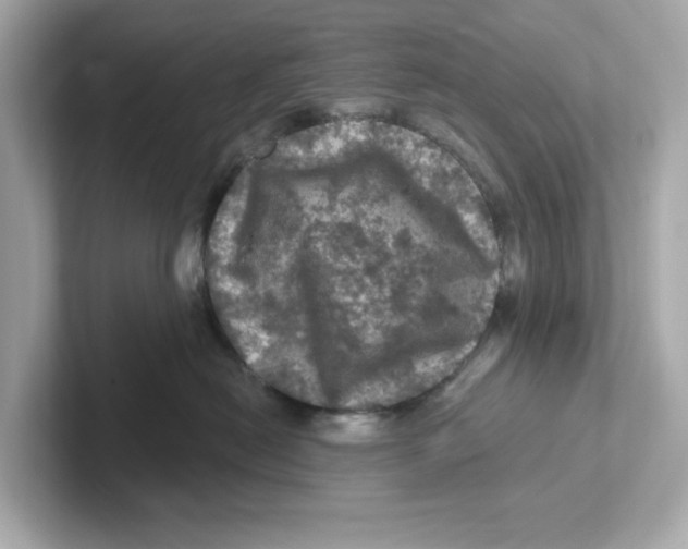 X0000101090478200807241011