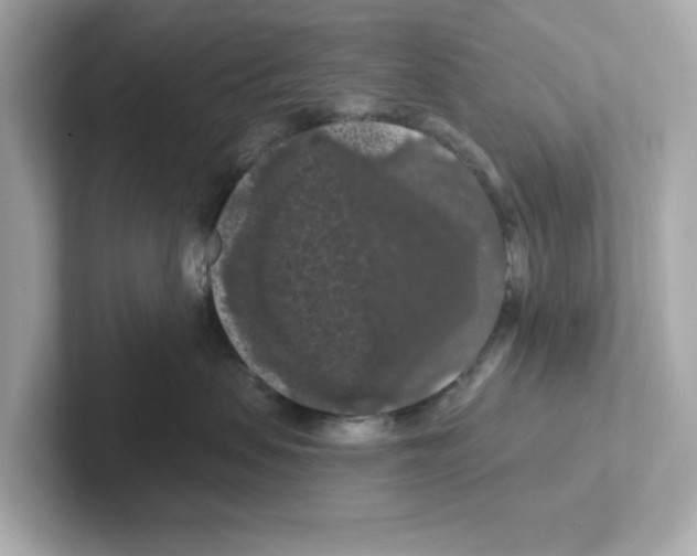 X0000101090479200807241011