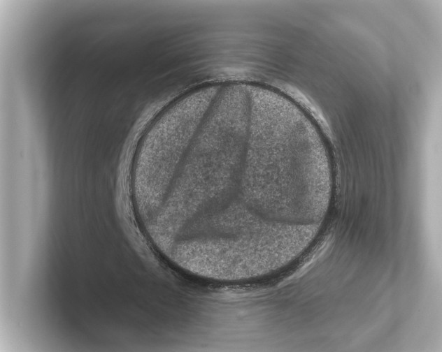 X0000101090481200807241011