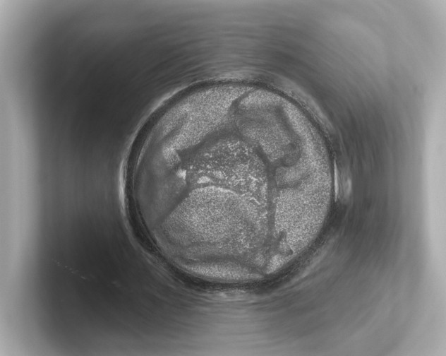X0000101090483200807241011
