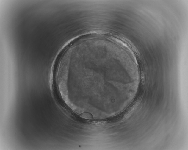 X0000101090484200807241011