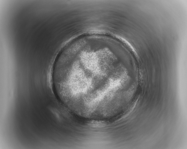 X0000101090487200807241011