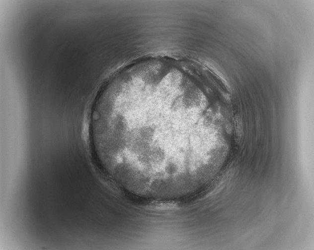 X0000101090491200807241011