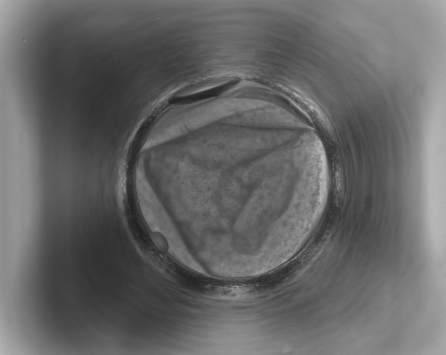 X0000101090492200807241011