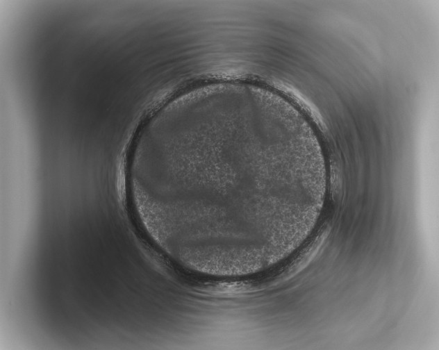X0000101090493200807241011