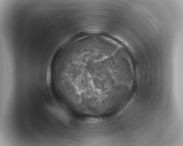 X0000101090494200807241011