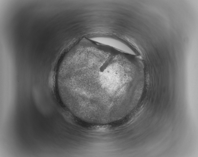 X0000101090495200807241011