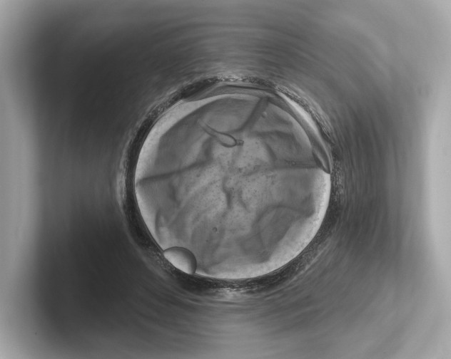 X0000101090496200807241011