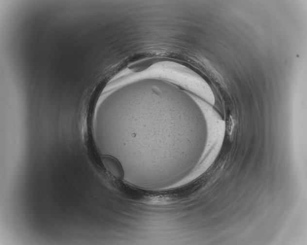 X0000101090500200807241011