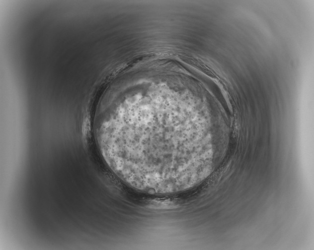 X0000101090502200807241011