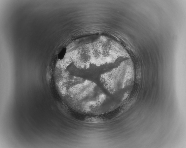 X0000101090503200807241010