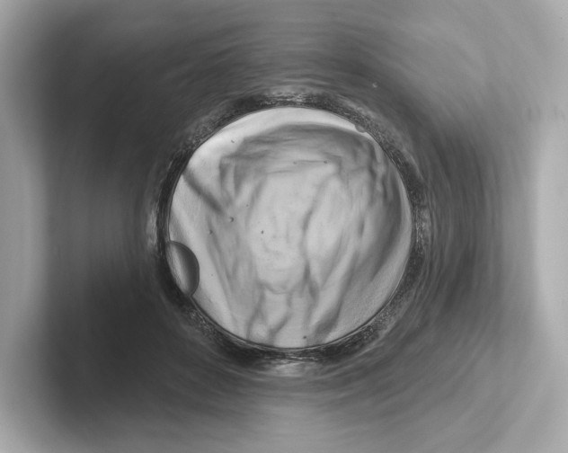 X0000101090504200807241010