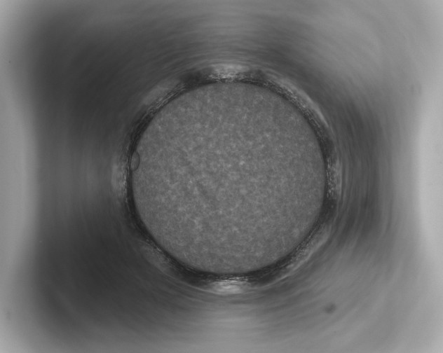 X0000101090505200807241010