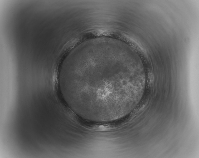 X0000101090506200807241010