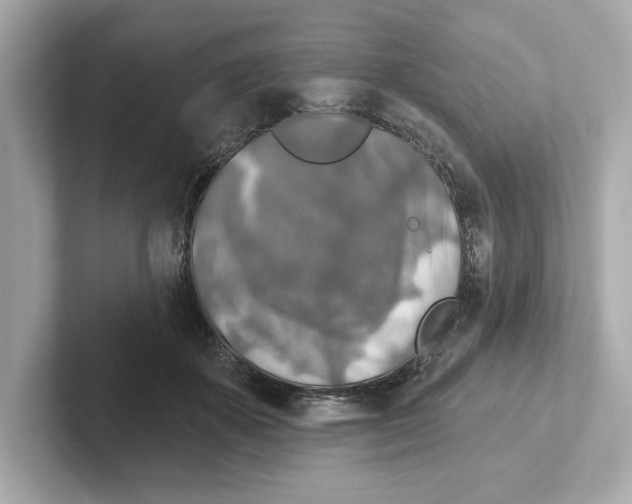 X0000101090507200807241010