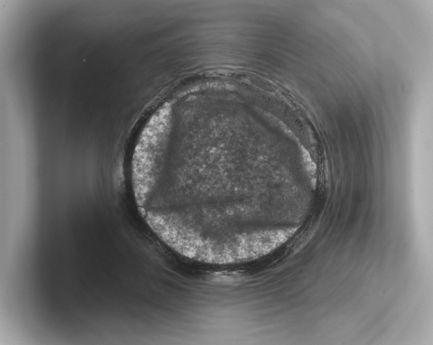 X0000101090508200807241010