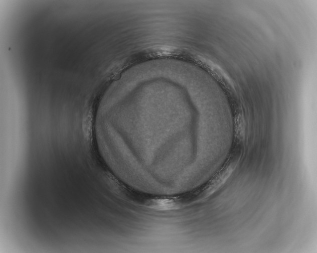 X0000101090509200807241010