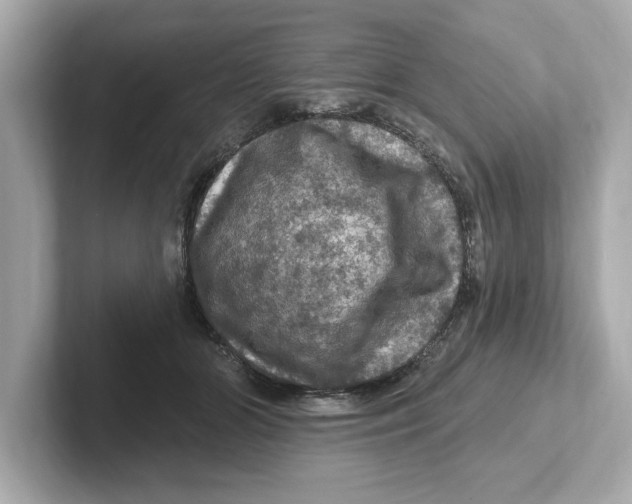 X0000101090510200807241010