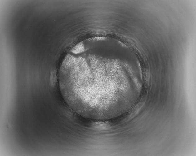 X0000101090511200807241010