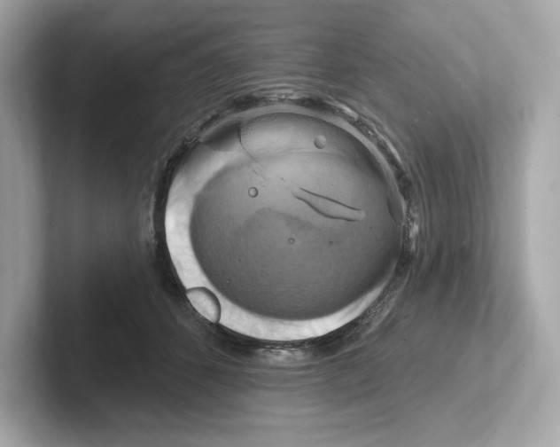 X0000101090512200807241010