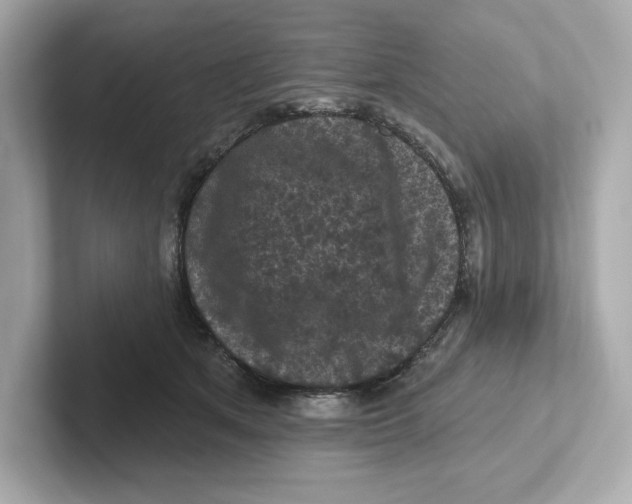 X0000101090513200807241010