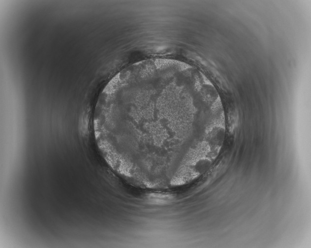 X0000101090515200807241010