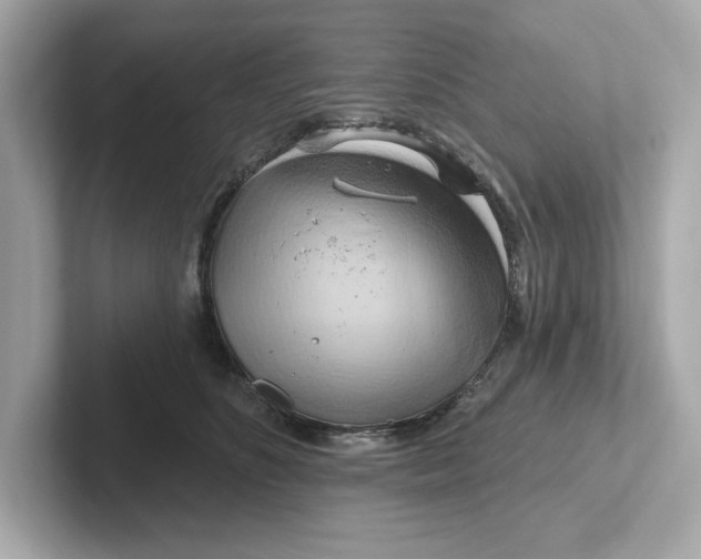 X0000101090516200807241010