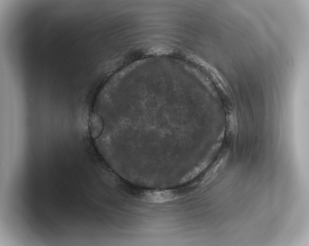 X0000101090517200807241010