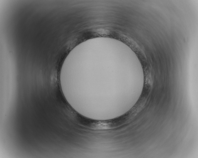 X0000101090518200807241010