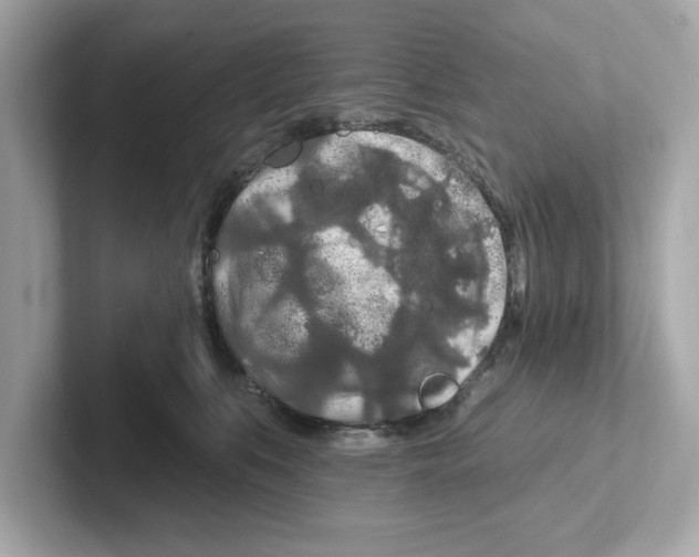 X0000101090519200807241010