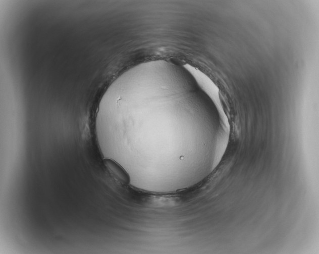 X0000101090520200807241010