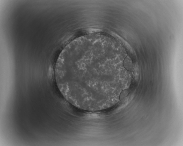 X0000101090523200807241010