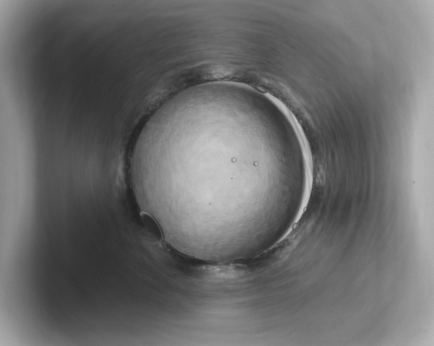 X0000101090524200807241010