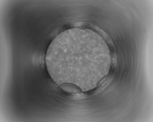 X0000101090525200807241010