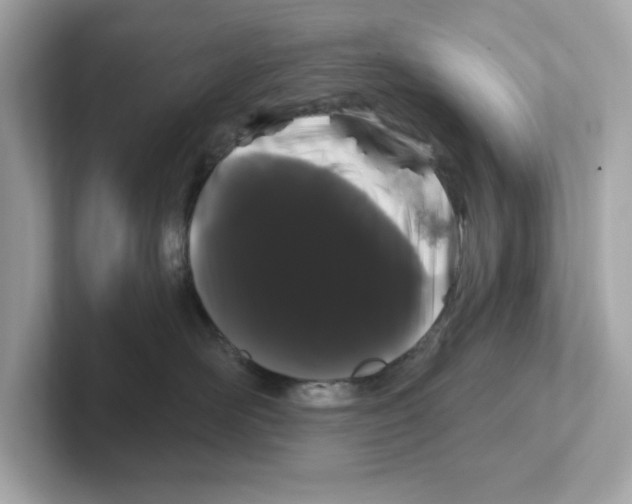 X0000101090526200807241010