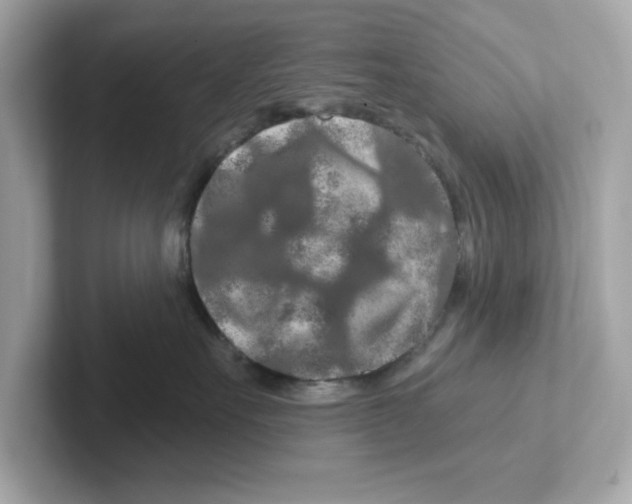 X0000101090527200807241010