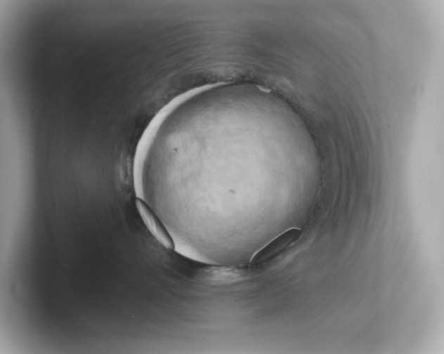 X0000101090528200807241010