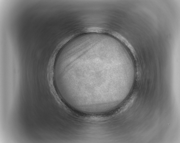 X0000101090529200807241010