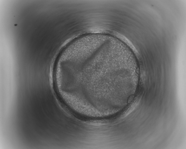 X0000101090530200807241010