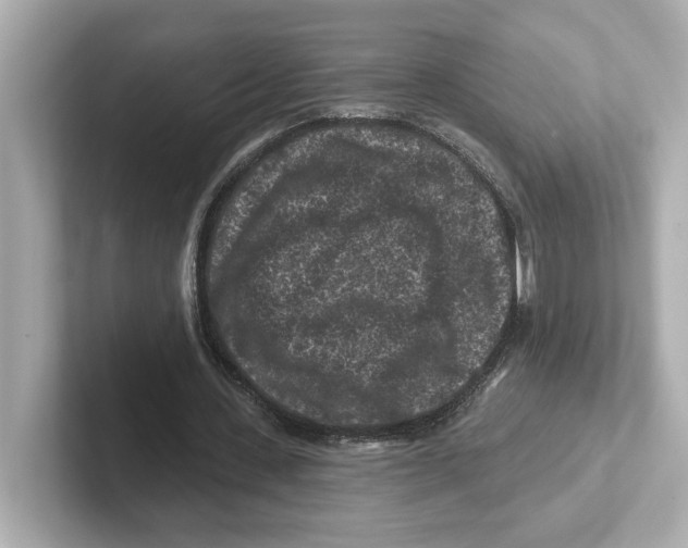 X0000101090531200807241010