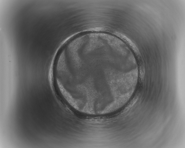X0000101090532200807241010