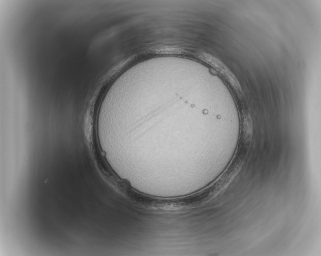 X0000101090533200807241010