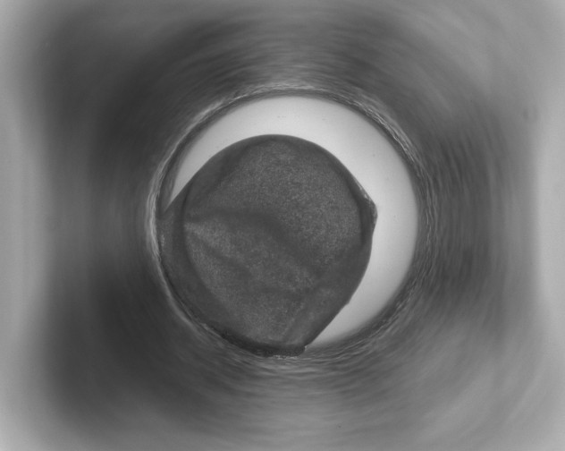 X0000101090534200807241010