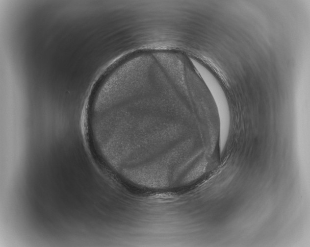 X0000101090536200807241010