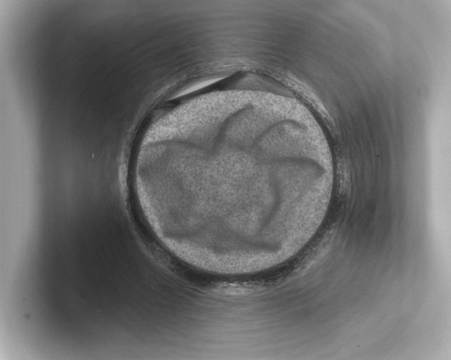 X0000101090538200807241010