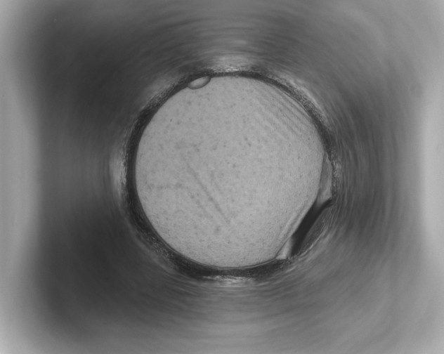 X0000101090539200807241010