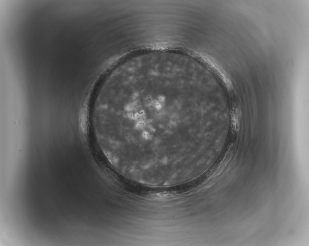 X0000101090540200807241010